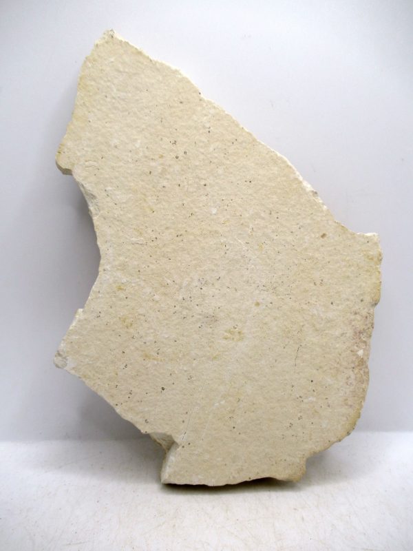 Genuine Cretaceous Age Fish Fossil Plate for Sale from Lebanon #107c
