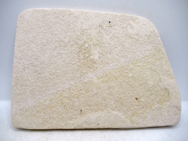 Genuine Cretaceous Age Fish Fossil Plate for Sale from Lebanon #110c