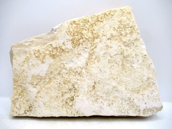 Genuine Cretaceous Age Fish Fossil Plate for Sale from Lebanon #114c
