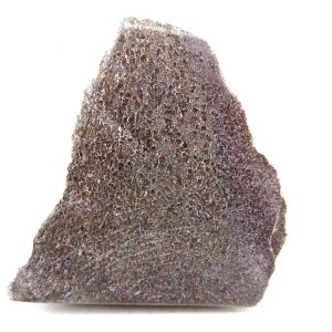 Cretaceous Dinosaur Fossil Polished Bone Slice for Sale #108 - 3.22"