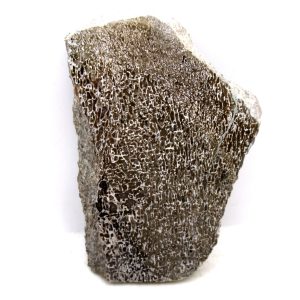 Cretaceous Dinosaur Fossil Polished Bone Slice for Sale #109 - 4.0"