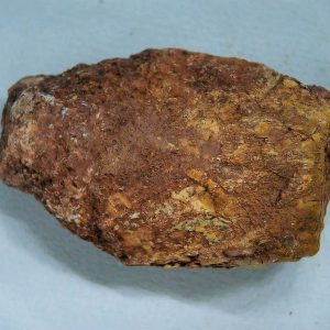 Genuine Triassic Age Dinosaur Coprolite Fossil for Sale from New Mexico #40
