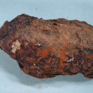 Coprolite - Triassic Dinosaur Poop for Sale from New Mexico #43