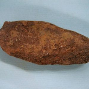 Coprolite - Triassic Dinosaur Poop for Sale from New Mexico #45