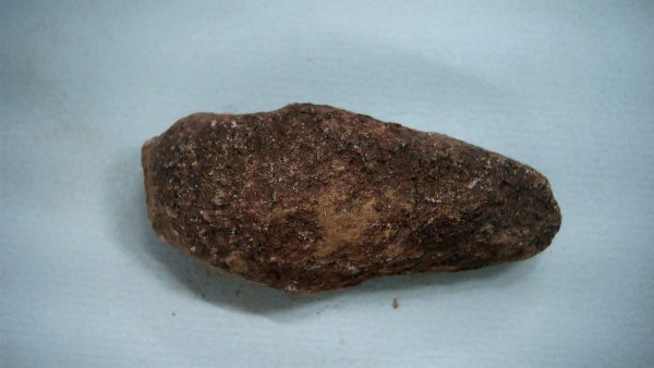 Genuine Triassic Age Dinosaur Coprolite Fossil for Sale from New Mexico #45a