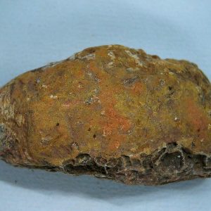 Genuine Triassic Age Dinosaur Coprolite Fossil for Sale from New Mexico #46