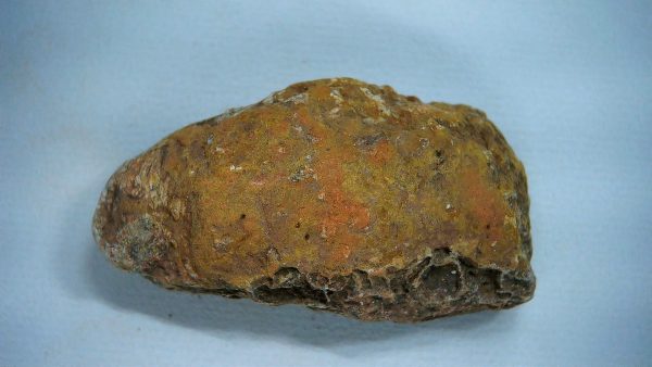 Genuine Triassic Age Dinosaur Coprolite Fossil for Sale from New Mexico #46