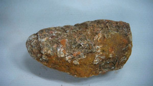 Genuine Triassic Age Dinosaur Coprolite Fossil for Sale from New Mexico #46a