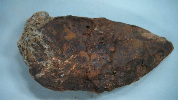 Genuine Triassic Age Dinosaur Coprolite Fossil for Sale from New Mexico #47a
