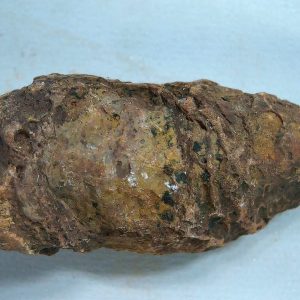 Genuine Triassic Age Dinosaur Coprolite Fossil for Sale from New Mexico #48