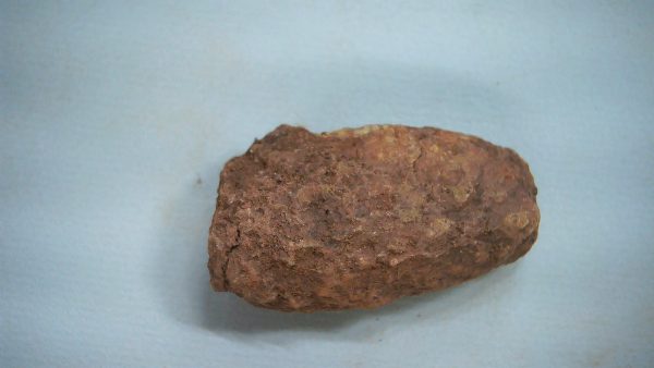 Genuine Triassic Age Dinosaur Coprolite Fossil for Sale from New Mexico #50a