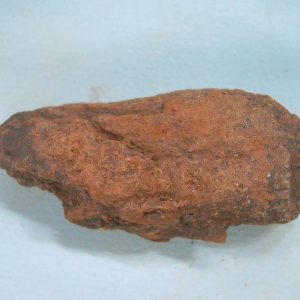 Genuine Triassic Age Dinosaur Coprolite Fossil for Sale from New Mexico #51