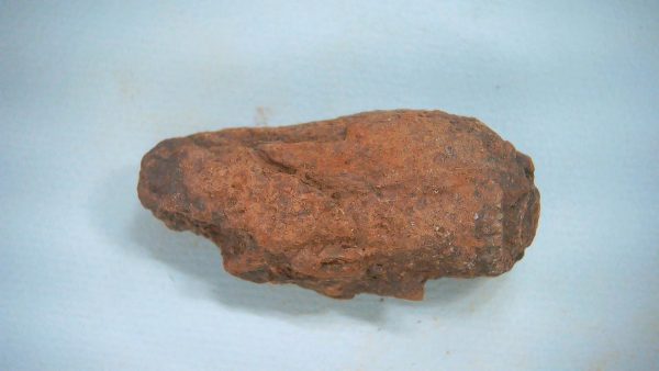 Genuine Triassic Age Dinosaur Coprolite Fossil for Sale from New Mexico #51