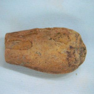 Coprolite - Triassic Dinosaur Poop for Sale from New Mexico #53