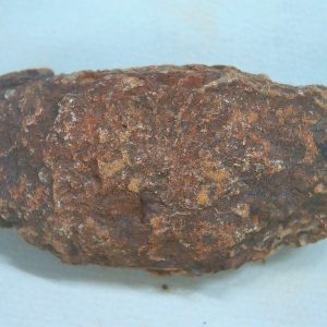 Coprolite - Triassic Dinosaur Poop for Sale from New Mexico #54