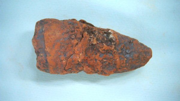 Genuine Triassic Age Dinosaur Coprolite Fossil for Sale from New Mexico #56
