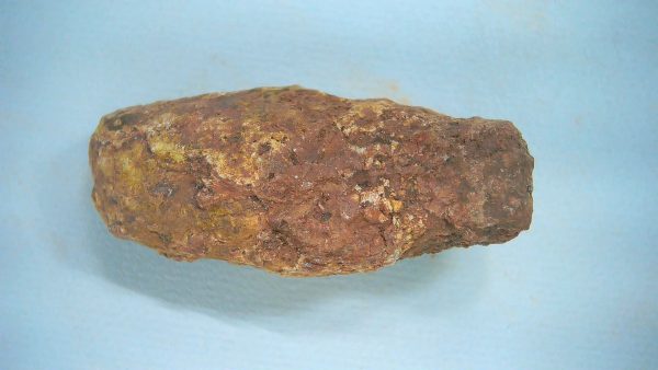 Genuine Triassic Age Dinosaur Coprolite Fossil for Sale from New Mexico #57