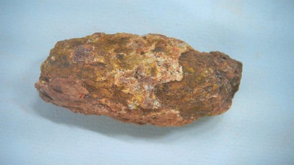 Genuine Triassic Age Dinosaur Coprolite Fossil for Sale from New Mexico #57a