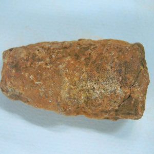 Genuine Triassic Age Dinosaur Coprolite Fossil for Sale from New Mexico #58