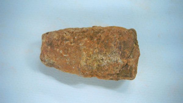 Genuine Triassic Age Dinosaur Coprolite Fossil for Sale from New Mexico #58