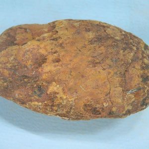 Genuine Triassic Age Dinosaur Coprolite Fossil for Sale from New Mexico #59
