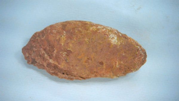 Genuine Triassic Age Dinosaur Coprolite Fossil for Sale from New Mexico #60