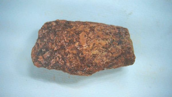 Genuine Triassic Age Dinosaur Coprolite Fossil for Sale from New Mexico #62