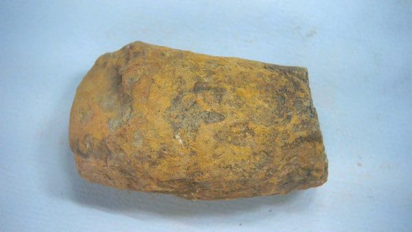 Genuine Triassic Age Dinosaur Coprolite Fossil for Sale from New Mexico #63