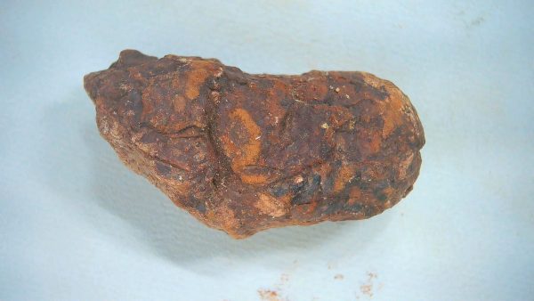 Genuine Triassic Age Dinosaur Coprolite Fossil for Sale from New Mexico #65