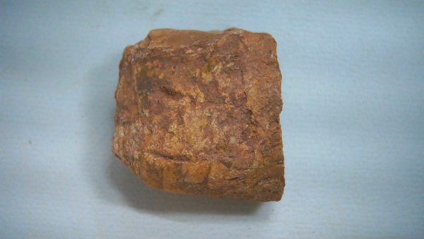 Genuine Triassic Age Dinosaur Coprolite Fossil for Sale from New Mexico #68a