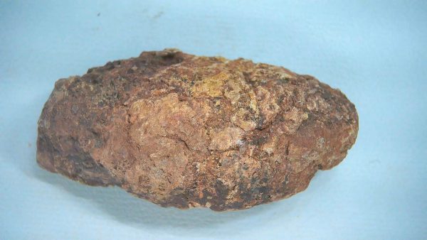 Genuine Triassic Age Dinosaur Coprolite Fossil for Sale from New Mexico #69