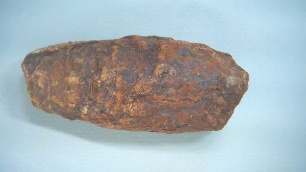 Genuine Triassic Age Dinosaur Coprolite Fossil for Sale from New Mexico #70