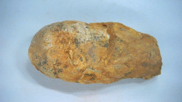 Genuine Triassic Age Dinosaur Coprolite Fossil for Sale from New Mexico #71