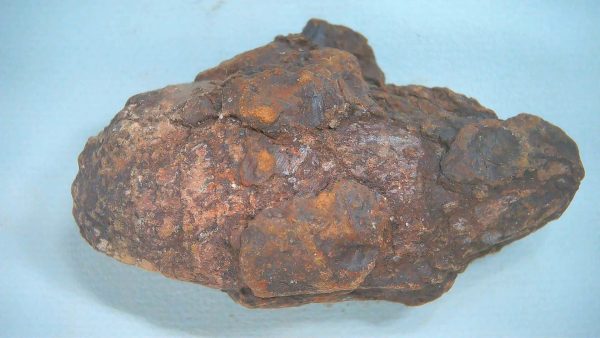 Genuine Triassic Age Dinosaur Coprolite Fossil for Sale from New Mexico #73
