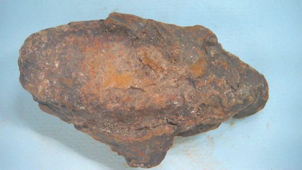 Genuine Triassic Age Dinosaur Coprolite Fossil for Sale from New Mexico #73a