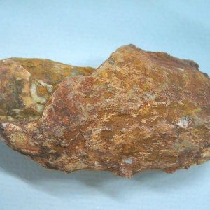 Coprolite - Triassic Dinosaur Poop for Sale from New Mexico #76