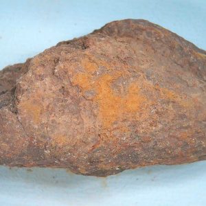 Coprolite - Triassic Dinosaur Poop for Sale from New Mexico #79