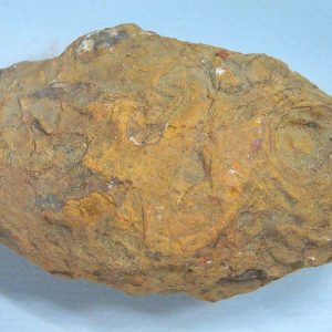 Coprolite - Triassic Dinosaur Poop for Sale from New Mexico #81