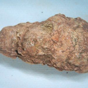 Coprolite - Triassic Dinosaur Poop for Sale from New Mexico #84