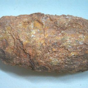 Coprolite - Triassic Dinosaur Poop for Sale from New Mexico #86