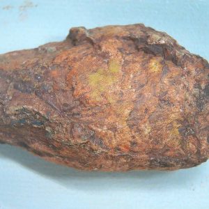Coprolite - Triassic Dinosaur Poop for Sale from New Mexico #88
