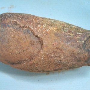 Coprolite - Triassic Dinosaur Poop for Sale from New Mexico #89