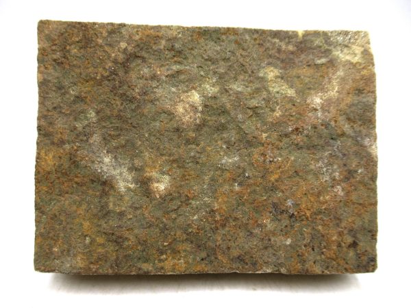 Ukraine Precambrian Nemiana simplex Jellyfish 25a | Fossils for Sale Genuine Precambrian Age Nemiana simplex Jellyfish Fossil for Sale from Ukraine #25a