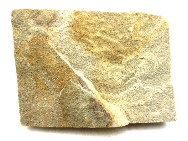 Ukraine Precambrian Nemiana simplex Jellyfish 26a | Fossils for Sale Genuine Precambrian Age Nemiana simplex Jellyfish Fossil for Sale from Ukraine #26a