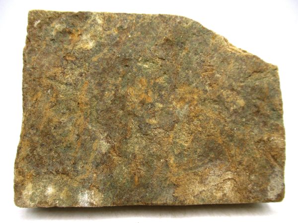 Ukraine Precambrian Nemiana simplex Jellyfish 28a | Fossils for Sale Genuine Precambrian Age Nemiana simplex Jellyfish Fossil for Sale from Ukraine #28a