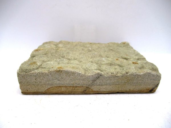 Ukraine Precambrian Nemiana simplex Jellyfish 29b | Fossils for Sale Genuine Precambrian Age Nemiana simplex Jellyfish Fossil for Sale from Ukraine #29b