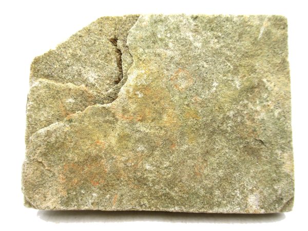 Ukraine PrecambrianNemiana simplex Jellyfish 24a | Fossils for Sale Genuine Precambrian Age Nemiana simplex Jellyfish Fossil for Sale from Ukraine #24a