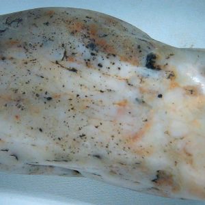 Dinosaur Gastrolith or Gizzard Stone For Sale from Utah #14 - 3.33" long