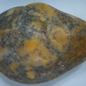 Dinosaur Gastrolith or Gizzard Stone For Sale from Utah #15 - 2.99" long