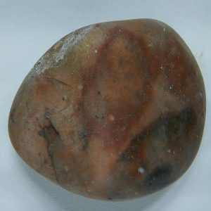 Dinosaur Gastrolith or Gizzard Stone For Sale from Utah #16